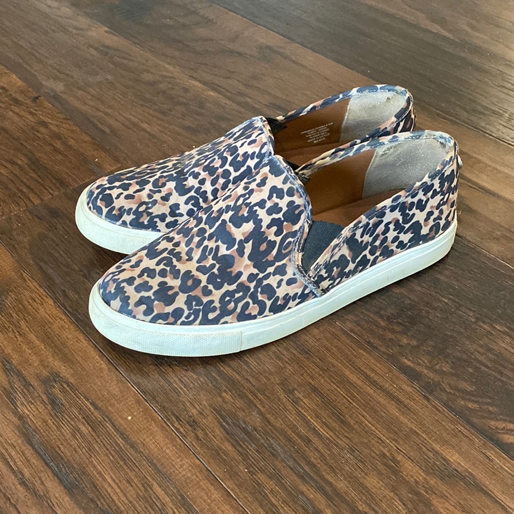 Leopard Sneakers x Steve Madden